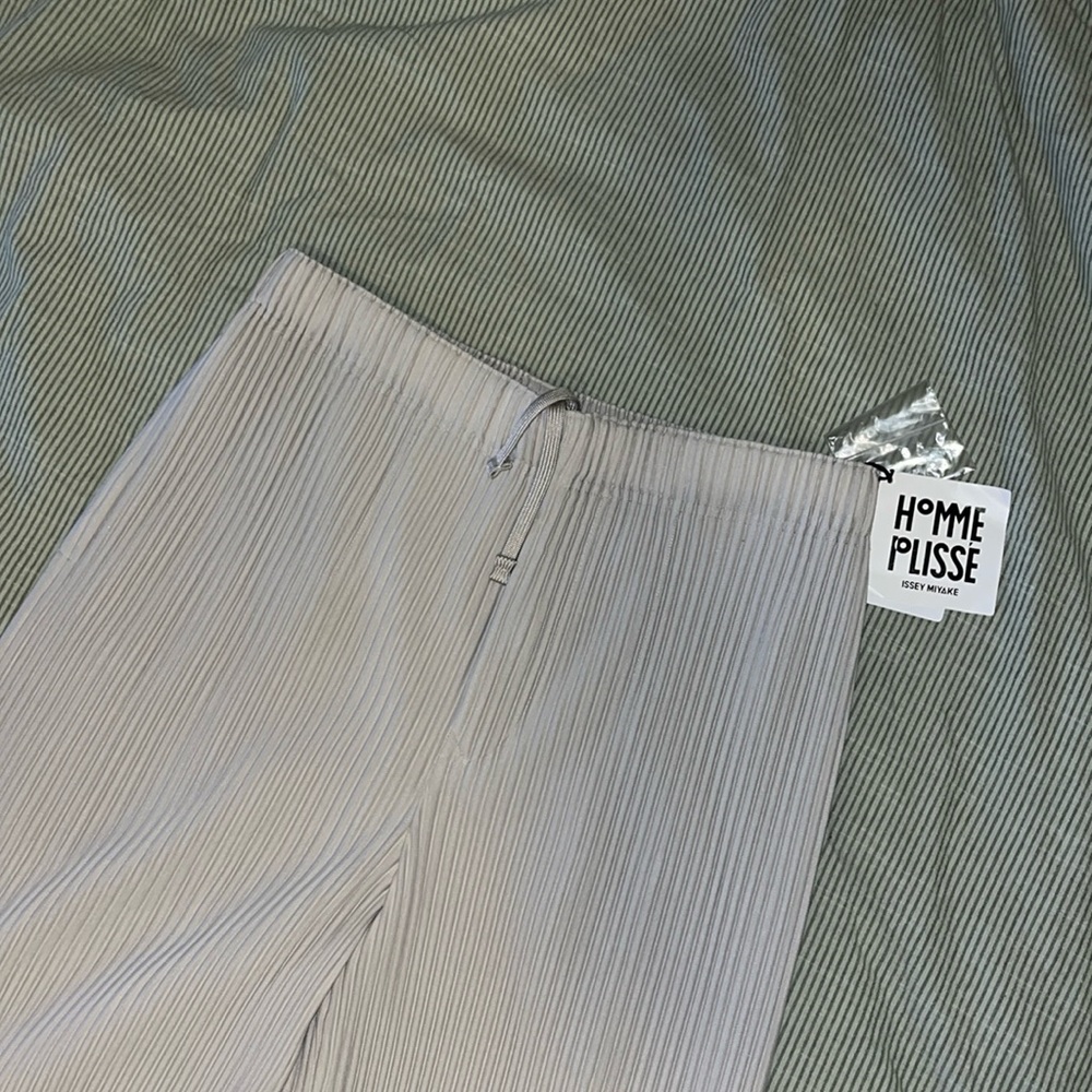 Issey Miyake homme plissé mc august pants